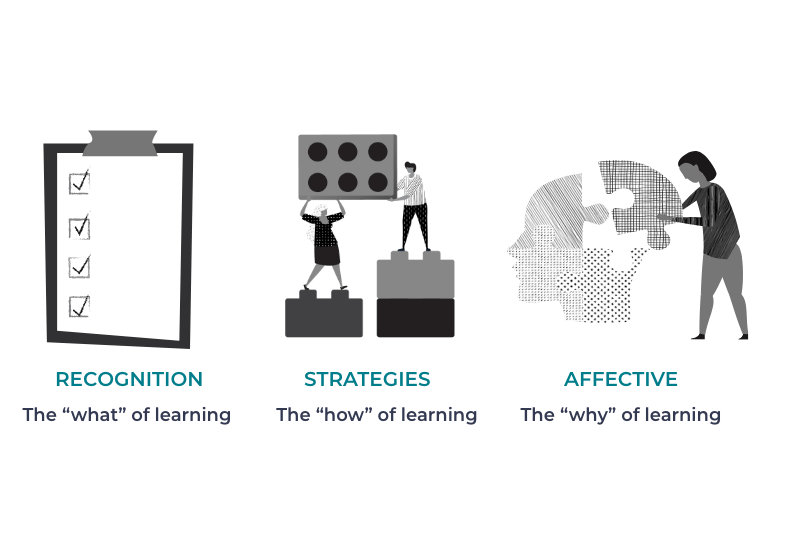 What Is Universal Design for Learning (UDL)? • Region 13's Blog